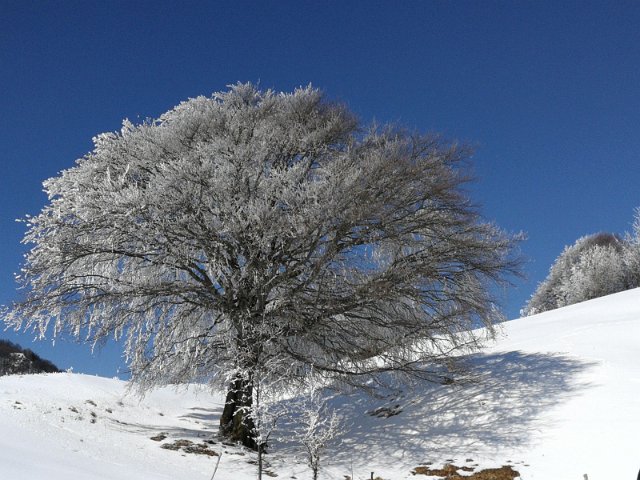 Piani di Artavaggio (17)